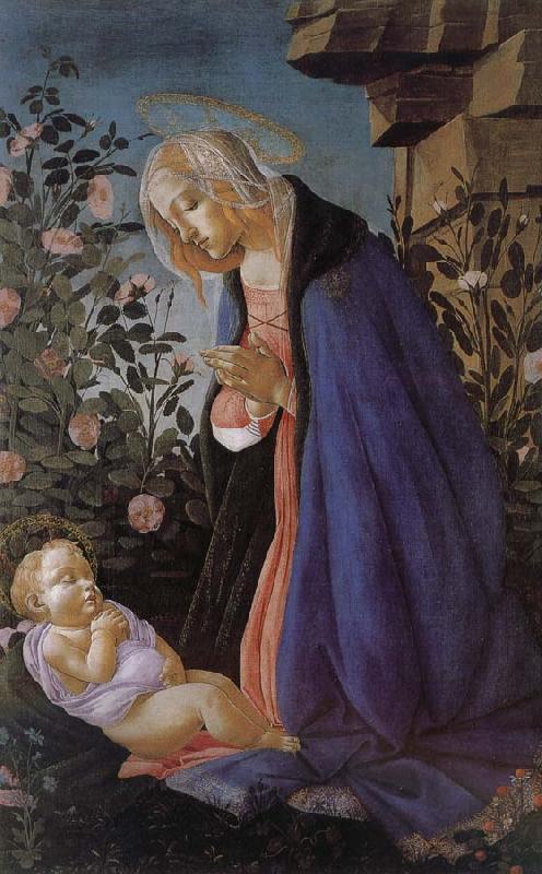 Sandro Botticelli Our Lady of the Son and the sleeping oil painting picture